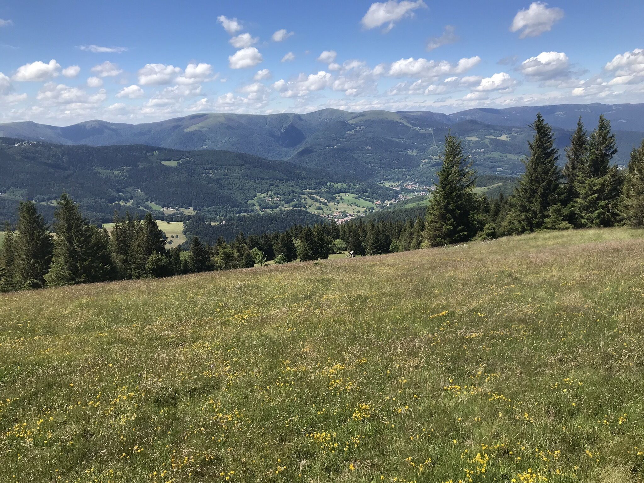 Vallée de Munster 