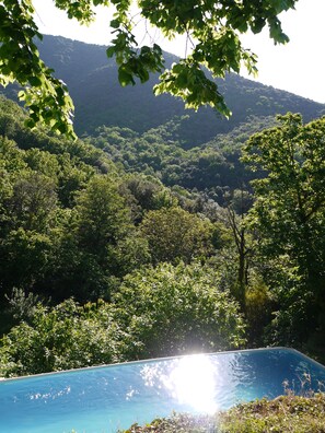 Ein Pool, umgeben von üppiger Vegetation, mit einem Berg im Hintergrund.