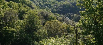  La Bernadelle mas cévenol in the heart of nature