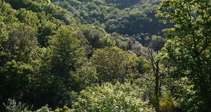 La Bernadelle mas cévenol in the heart of nature