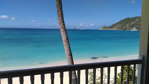 Vista de playa con agua turquesa cristalina, una palmera y una isla distante.