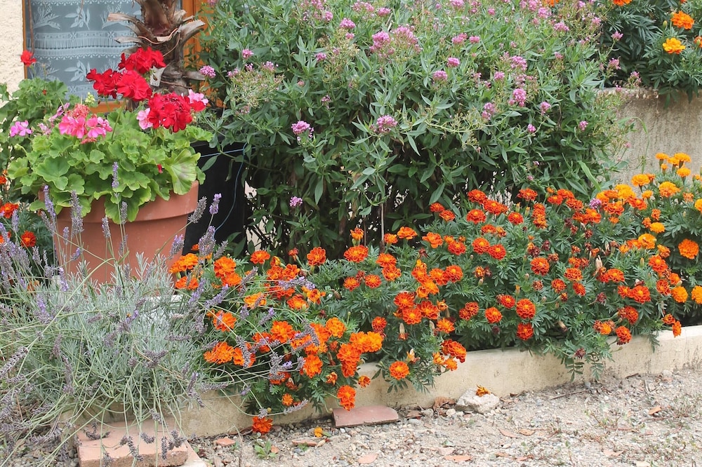 The GOUTZ "Pinte" flower cottages