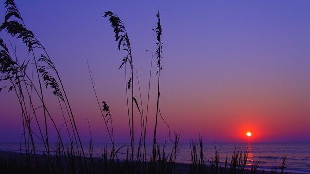 Un coucher de soleil sur une plage, avec de hautes herbes au premier plan.