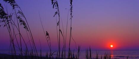 Nära stranden och solstolar