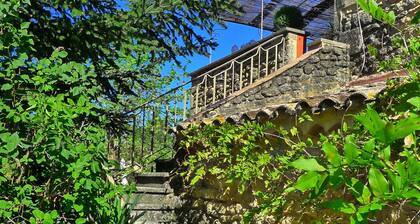 Viehättävä mökki 1800-luvun Provencen maatilalla, Laurier