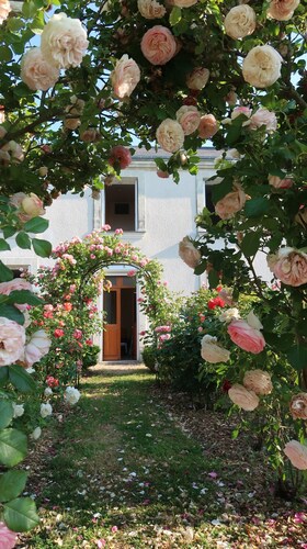 Antigua casa de viñedos.