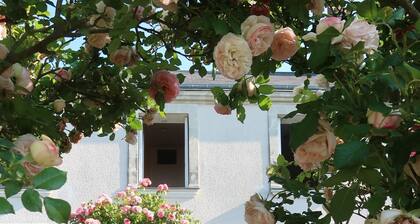 Vanha viinitarha talo.