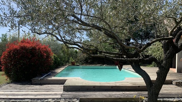 A swimming pool with a wooden deck, surrounded by grass and a tree. - House with calm 140m ² with swimming pool 10x5 (Campagne)