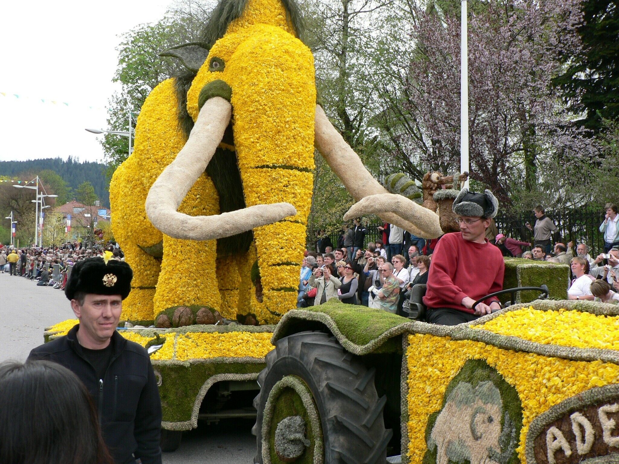 Ein Festwagen mit einer großen, aus Blumen gestalteten Figur, ein Fahrer in rotem Hemd und im Hintergrund Zuschauer.