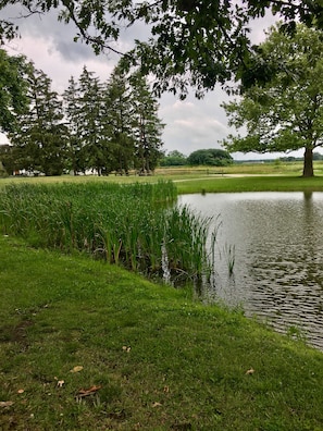 Surrounded by lush greenery and mature trees, this serene park offers a peaceful escape.