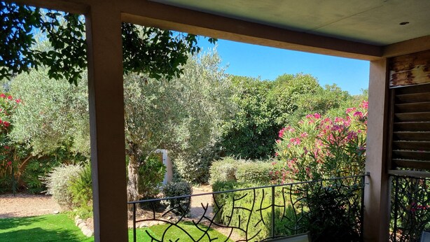A patio with a table and chairs, surrounded by a garden with various plants and flowers.