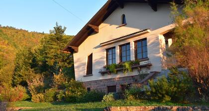 Gite de la Fontaine: gite *** on the heights of Val d´Argent center Alsace