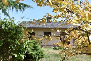 Detalle del exterior