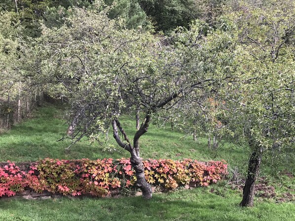 Jardines del alojamiento