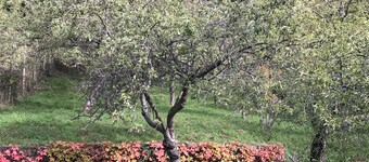 Gite de la Fontaine: gite *** on the heights of Val d´Argent center Alsace