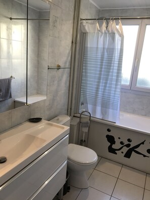 Bathroom features a large mirror, white toilet, and shower area with a glass door.