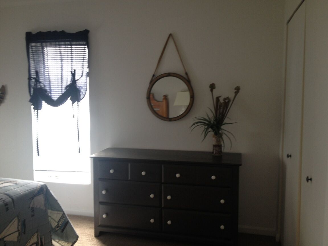 A room with a bed, a dresser, a window with blinds, a mirror, and a potted plant.