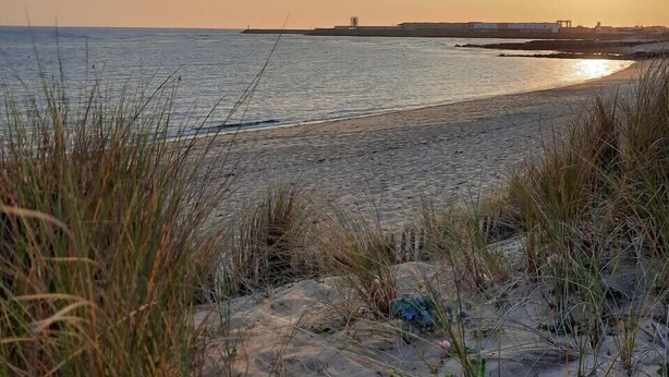 A beach with sand and grass in the foreground, a body of water, and a distant shoreline with buildings.