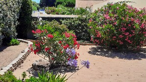 A garden with various plants and flowers, a stone pathway, and a building in the background.