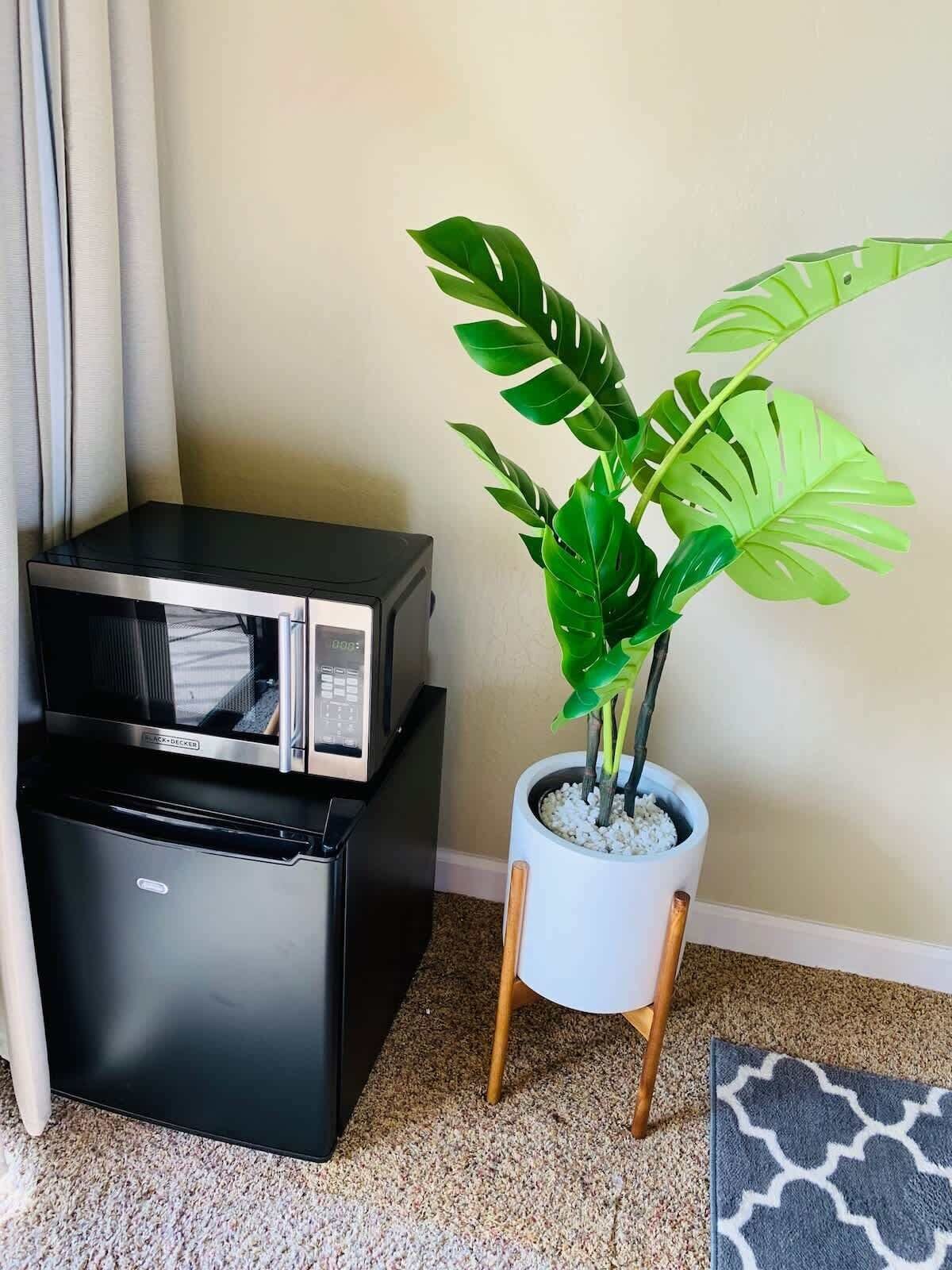 A compact kitchenette with a microwave and a small refrigerator, a potted plant with broad leaves, and a patterned rug on the floor.