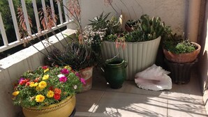 A variety of potted plants on a balcony with a railing, a large yellow pot with colorful flowers, and a green pot with a cactus. - Charm, quietness, beach, city, ideal location and 5 minutes from motorways (Marseille)