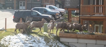 Edullinen Luxury Condo Radium Hotsprings