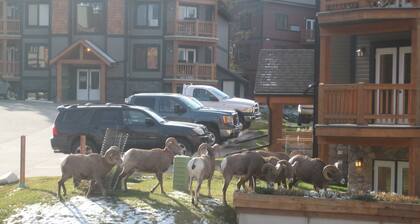 Affordable Cozy Condo in Radium Hotsprings