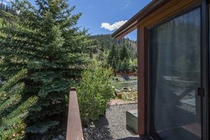 Terrace/patio - Cozy Cabin on the River. 1 Bed 1 Bath Patio w/  BBQ (Breckenridge)