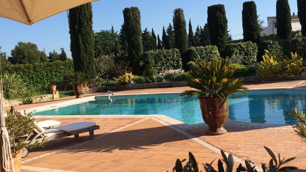 A swimming pool with a tiled deck, surrounded by various plants and trees. - Charming villa with private pool (Arles)