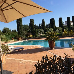 Une piscine dotée d’une terrasse carrelée, entourée de différentes plantes et arbres.