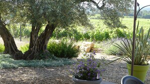 A garden with a large tree, a potted plant with purple flowers, and a stone structure. - Pleasant, sunny villa (Vaison la Romaine)