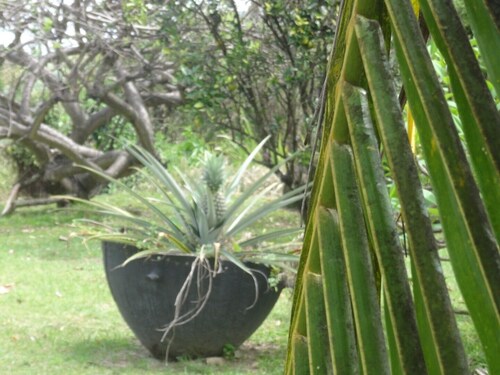 F2 unteren Ecke Villa mit Veranda und Bäume