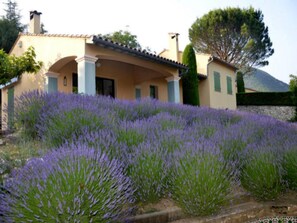 Exterior - Domaine les Flachères (14pers) (Dieulefit)