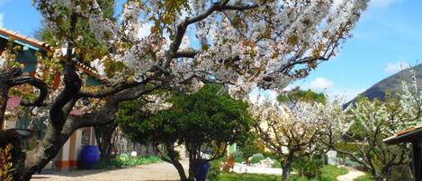 Enceinte de lâhĂ©bergement