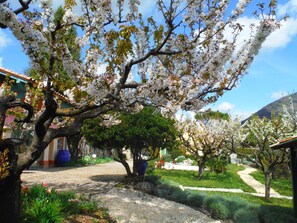 Property grounds - Domaine les Flachères (14pers) (Dieulefit)