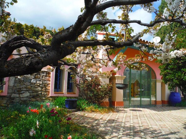 A building with a stone wall, a tiled courtyard, and a large tree with blossoms.