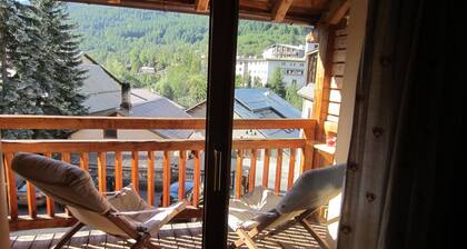 Charming apartment 4/6 people, Serre Chevalier 1400 m 3 *, WIFI
