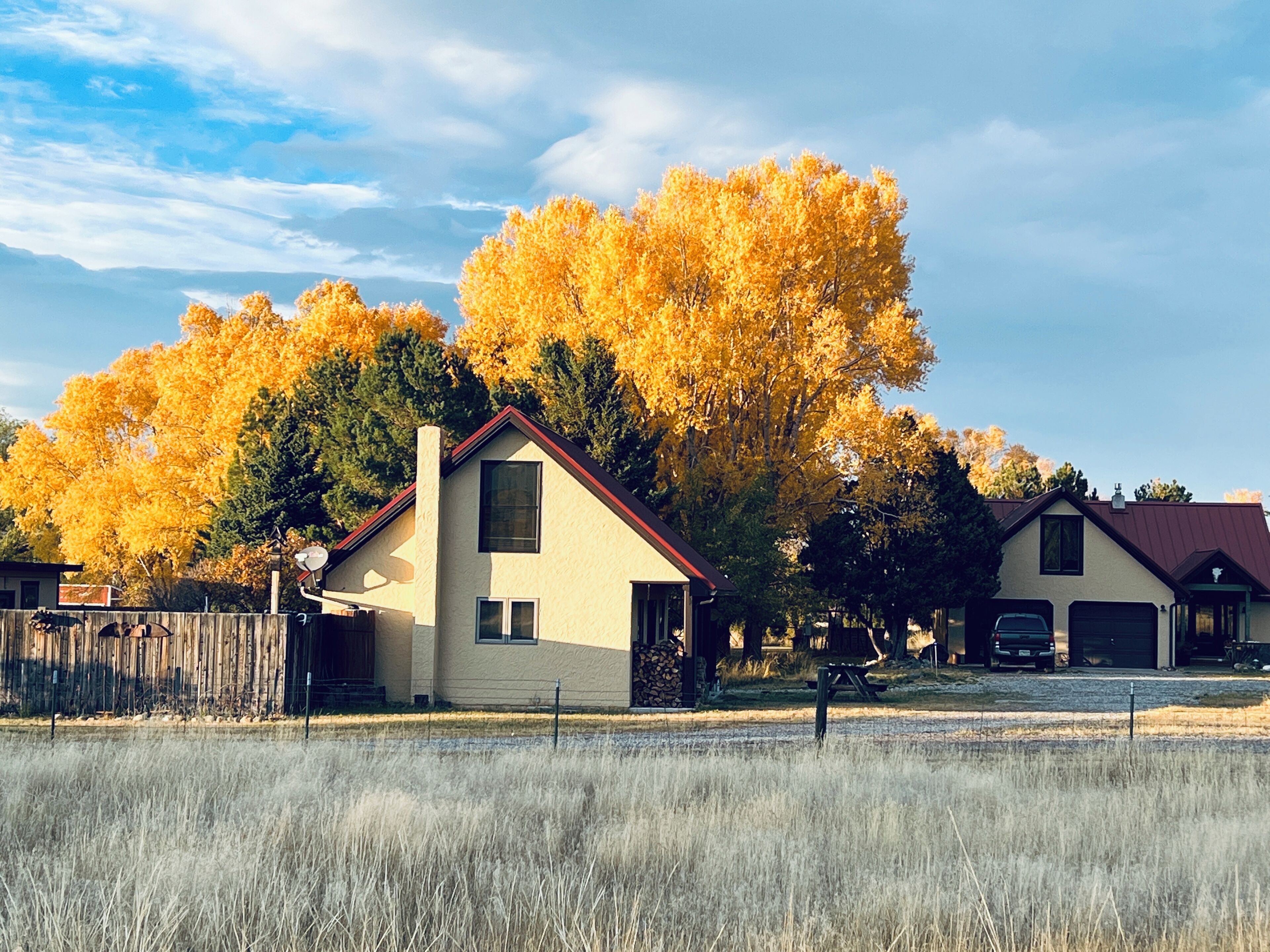 A residential area with houses, a wooden fence, and autumn trees.
