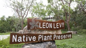 Een houten bord met de tekst 'LEON LEVY' en 'Native Plant Preserve', geplaatst op een rots, met bomen op de achtergrond.