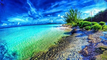 Serviettes de plage