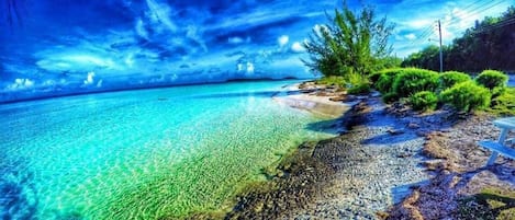 Serviettes de plage