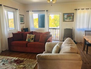 TV, DVD player, books, video library