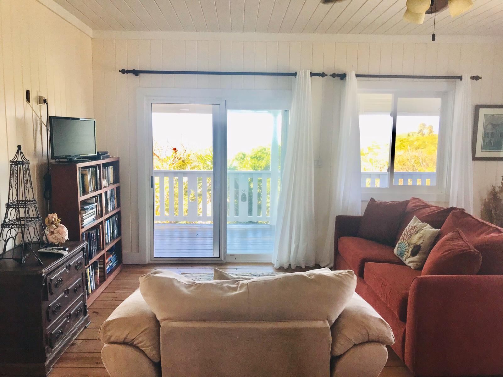 TV, DVD player, books, video library