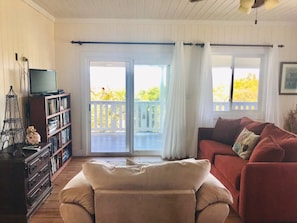 Tv, dvd-spelare, böcker och ett filmbibliotek