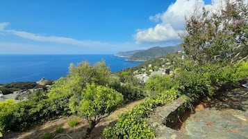 Blick von der Unterkunft