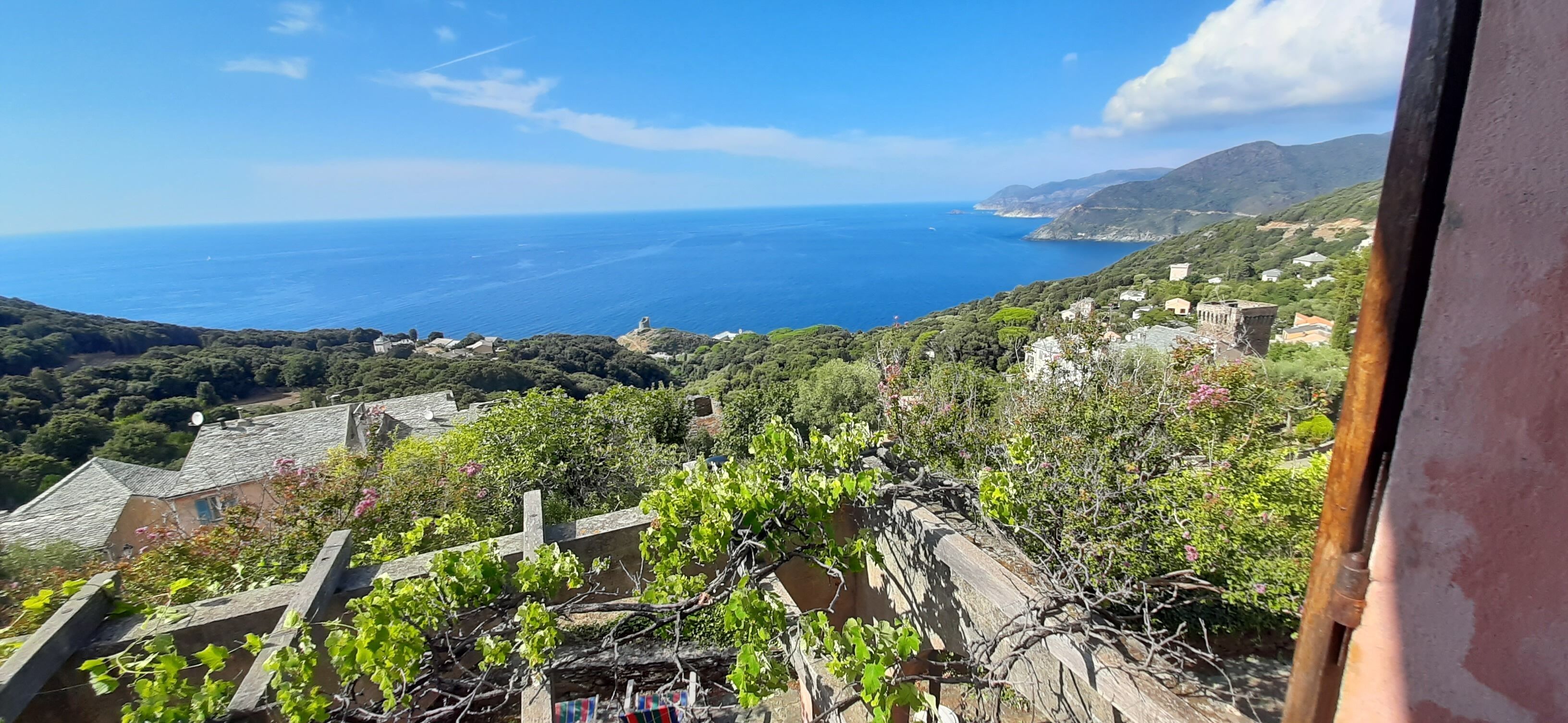 Un vignoble offrant une vue sur la mer et les montagnes.