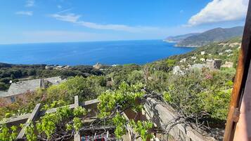 Un vignoble offrant une vue sur la mer et les montagnes.