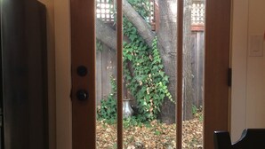 Une porte en bois avec un panneau de verre, qui donne sur une cour arrière agrémentée d’un arbre et d’une clôture en bois.