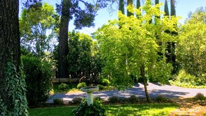 Un jardin agrémenté d’un chemin de pierre, d’une fontaine et de diverses espèces d’arbres et d’arbustes.