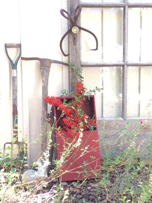 Detalle exterior
